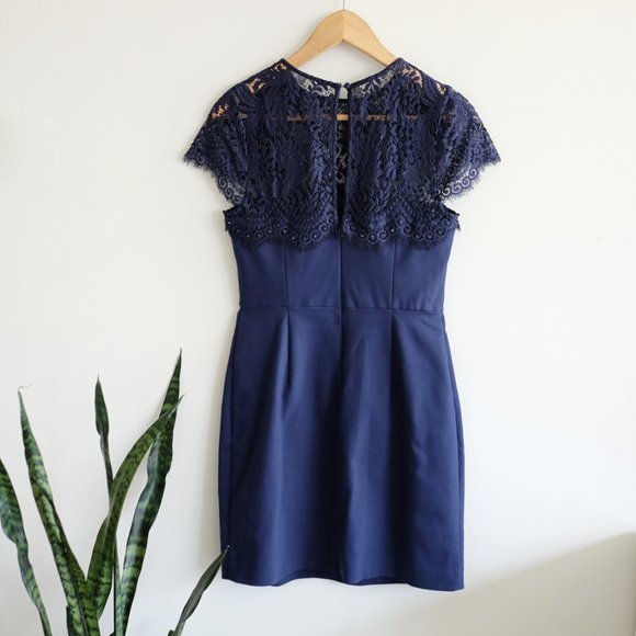 Ever New eyelash lace and crystal cocktail dress - Picture 10 of 13